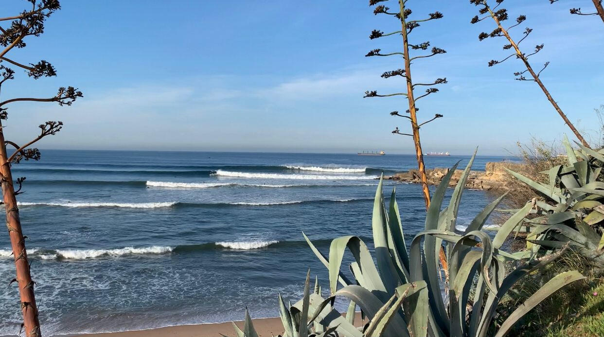 Art of Surf School Estoril Praia São Pedro Estoril